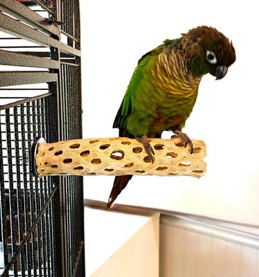 Show full view: Polly's Pet Products Cholla Cactus Bird Perch, Natural wood, Small slide 3 of 9