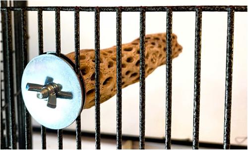 Show full view: Polly's Pet Products Cholla Cactus Bird Perch, Natural wood, Small slide 5 of 9