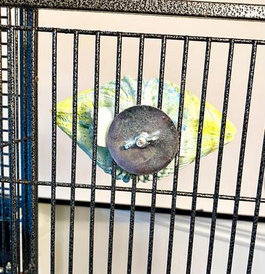 Show full view: Polly's Pet Products Comfy Clam Flat Bird Perch, Large slide 7 of 10