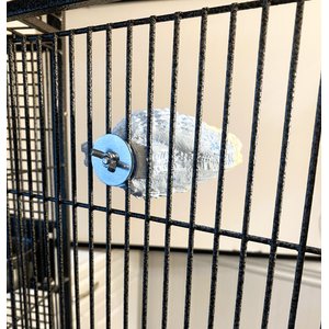 Polly's Pet Products Comfy Clam Flat Bird Perch, Small