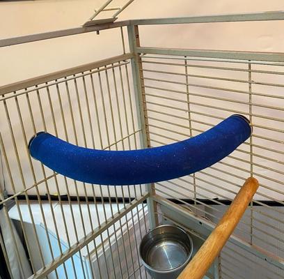 Show full view: Polly's Pet Products Cozy Corner Bird Perch, Blue, Large slide 4 of 8