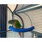 Show in main carousel: Polly's Pet Products Cozy Corner Bird Perch, Blue, Small slide 3 of 8