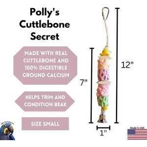 Polly's Pet Products Cuttlebone Secrets Bird Perch, Small