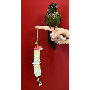 Polly's Pet Products Cuttlebone Secrets Bird Perch, Small