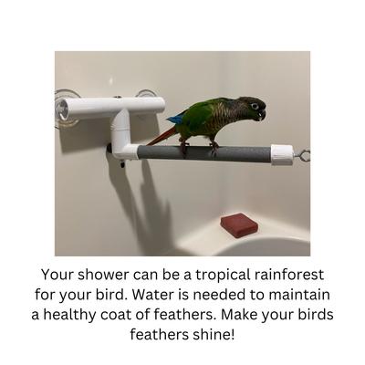 Show full view: Polly's Pet Products Deluxe Window & Shower Bird Perch, Small slide 4 of 8