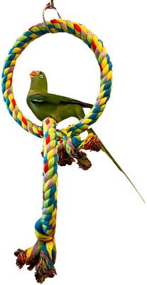 Show full view: Polly's Pet Products Double Bird Ring & Swing, Large slide 6 of 7
