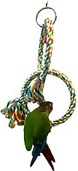 Polly's Pet Products Double Bird Ring & Swing, Small slide 2 of 5