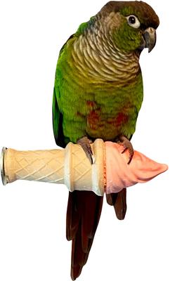 Show full view: Polly's Pet Products Edible Ice Cream Bird Perch, Small slide 3 of 10