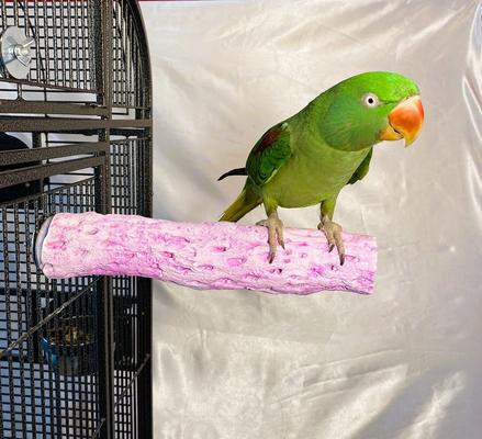 Show full view: Polly's Pet Products Grape Flavor Tooty Fruity Bee Pollen Bird Perch, Purple, Large slide 2 of 10