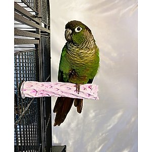 Polly's Pet Products Grape Flavor Tooty Fruity Bee Pollen Bird Perch, Purple, Small