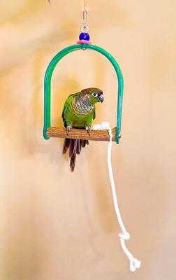 Show full view: Polly's Pet Products Hardwood Arch Bird Swing, Green/Brown, Small slide 7 of 8