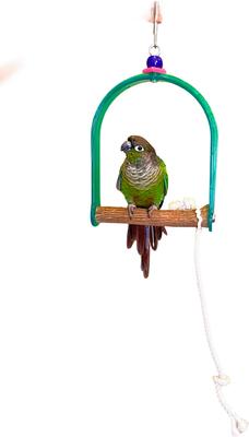Show full view: Polly's Pet Products Hardwood Arch Bird Swing, Green/Brown, Small slide 2 of 8
