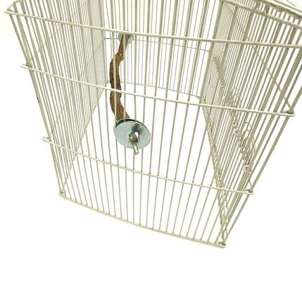 Show full view: Polly's Pet Products Hardwood Bird Perch, 16-in slide 8 of 9