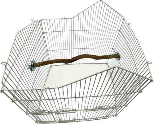 Show full view: Polly's Pet Products Hardwood Bird Perch, 18-in slide 5 of 7