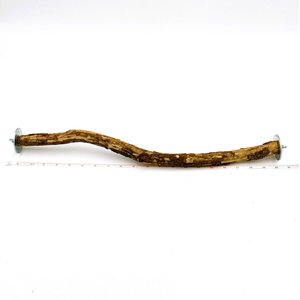 Polly's Pet Products Hardwood Bird Perch, 20-in