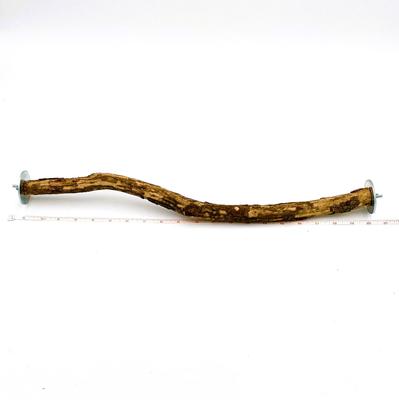 Show full view: Polly's Pet Products Hardwood Bird Perch, 20-in slide 1 of 7