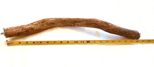 Show full view: Polly's Pet Products Hardwood Bird Perch, 20-in slide 6 of 7