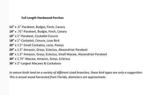 Show full view: Polly's Pet Products Hardwood Bird Perch, 30-in slide 4 of 5