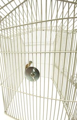 Show full view: Polly's Pet Products Hardwood Bird Perch, 36-in slide 6 of 8