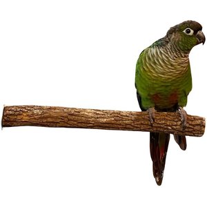 Polly's Pet Products Hardwood Bird Perch, Small