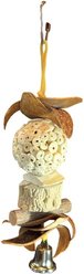 Polly's Pet Products Hawaiian Chew Toy, Brown, Medium