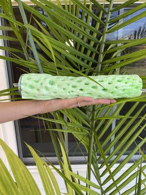 Show full view: Polly's Pet Products Kiwi-Lime Flavor Tooty Fruity Bee Pollen Bird Perch, Green, Large slide 3 of 10