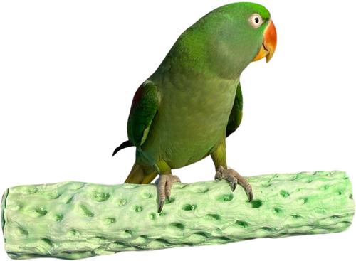 Show full view: Polly's Pet Products Kiwi-Lime Flavor Tooty Fruity Bee Pollen Bird Perch, Green, Large slide 4 of 10