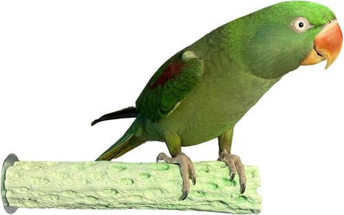 Show full view: Polly's Pet Products Kiwi-Lime Flavor Tooty Fruity Bee Pollen Bird Perch, Green, Medium slide 4 of 10