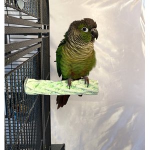 Polly's Pet Products Kiwi-Lime Flavor Tooty Fruity Bee Pollen Bird Perch, Green, Small