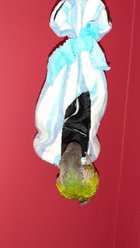 Polly's Pet Products Love Nest Bird Hideout, Small slide 2 of 2