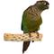 Show in main carousel: Polly's Pet Products Manu Mineral Bird Perch, Brown, Small slide 2 of 9