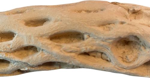 Show full view: Polly's Pet Products Manu Mineral Bird Perch, Brown, X-Large slide 3 of 9