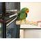 Show in main carousel: Polly's Pet Products Manu Mineral Bird Perch, Large slide 5 of 8