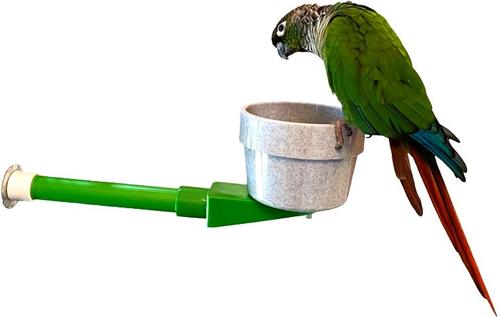 Show full view: Polly's Pet Products Mess Less Cup Bird Perch, Green, Small Short slide 2 of 10