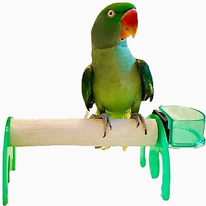 Polly's Pet Products Mini Bird Stand, Green, Large