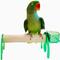 Show in main carousel: Polly's Pet Products Mini Bird Stand, Green, Large slide 2 of 4