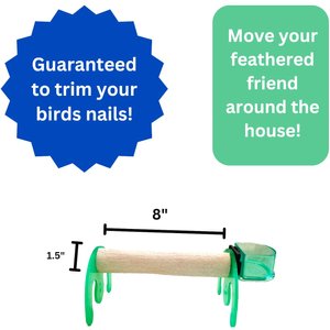 Polly's Pet Products Mini Bird Stand, Green, Large