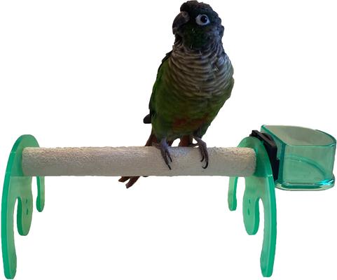 Show full view: Polly's Pet Products Mini Bird Stand, Green, Small slide 2 of 4