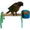 Show in main carousel: Polly's Pet Products Mini Bird Stand, Green, X-Small slide 2 of 4