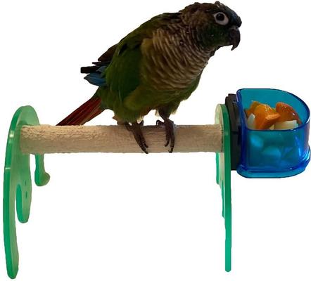 Show full view: Polly's Pet Products Mini Bird Stand, Green, X-Small slide 2 of 4