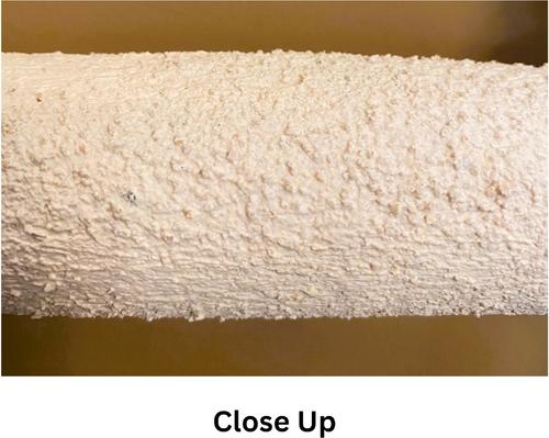 Show full view: Polly's Pet Products Nail Trimming Arch Bird Swing, Large slide 8 of 11