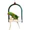 Show in main carousel: Polly's Pet Products Nail Trimming Arch Bird Swing, Large slide 4 of 11