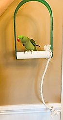 Polly's Pet Products Nail Trimming Arch Bird Swing, X-Large slide 2 of 7