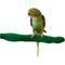 Show in main carousel: Polly's Pet Products Orthopedic Sandwalk Bird Perch, Green, Large slide 2 of 4