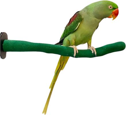 Show full view: Polly's Pet Products Orthopedic Sandwalk Bird Perch, Green, Medium slide 2 of 5