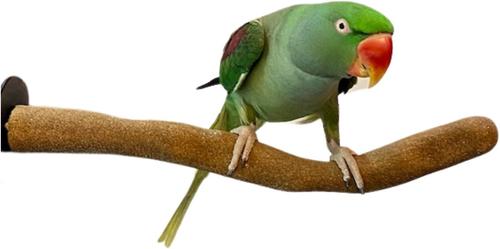 Show full view: Polly's Pet Products Orthopedic Sandwalk Bird Perch, Tan, Medium slide 2 of 5