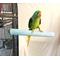 Show in main carousel: Polly's Pet Products Pastel Bird Perch, Blue, Large Long slide 6 of 11