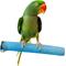 Show in main carousel: Polly's Pet Products Pastel Bird Perch, Blue, Large slide 6 of 9