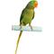 Show in main carousel: Polly's Pet Products Pastel Bird Perch, Blue, Medium slide 2 of 9