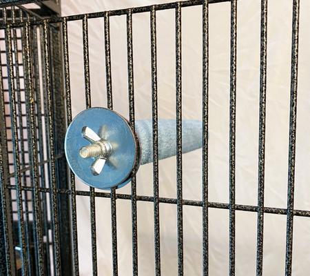 Show full view: Polly's Pet Products Pastel Bird Perch, Blue, Medium slide 4 of 9